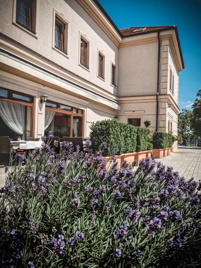 Restaurant Pansion Wien Cierny Brod Exterior photo